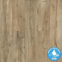 Laminat vodootporan Hrast Amalfi 8 mm AC5 Terra Aqua Block 24h 4915