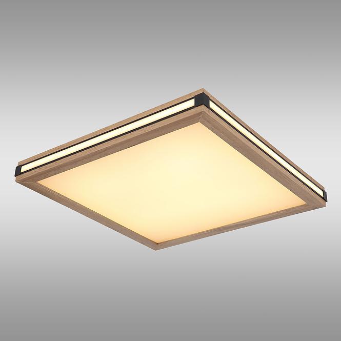 Plafonjera 41589D2 LED  PL1