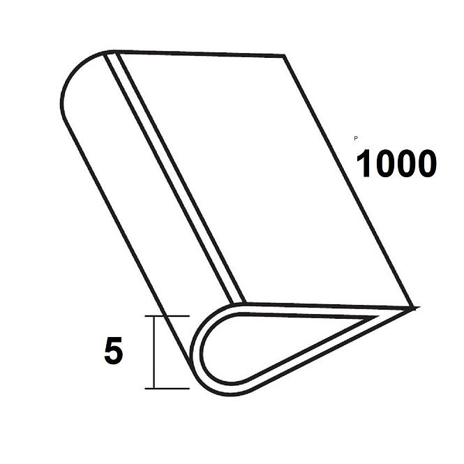 Stezni profil pvc crna 5x1000