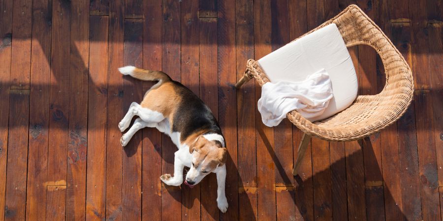 Koje je drvo prikladno za terase i balkone? Daske od poljskog drva – najpopularnije vrsta drva